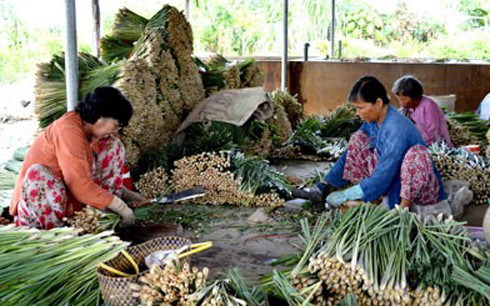 Vietnam por reducción de la pobreza y cumplimiento de sus Objetivos de Desarrollo